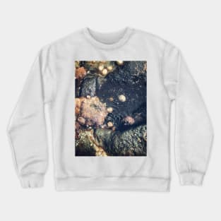 Rock Pool Crewneck Sweatshirt